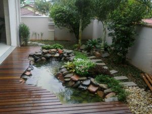 8-cara-alami-menghilangkan-lumut-di-kolam-ikan