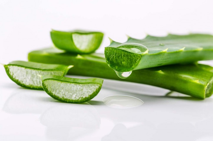 5-jenis-tanaman-obat-tradisional-yang-cocok-ditanam-di-pekarangan-rumah