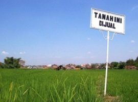 yuk-cermati-tips-dekorasi-rumah-dari-pakar-desain